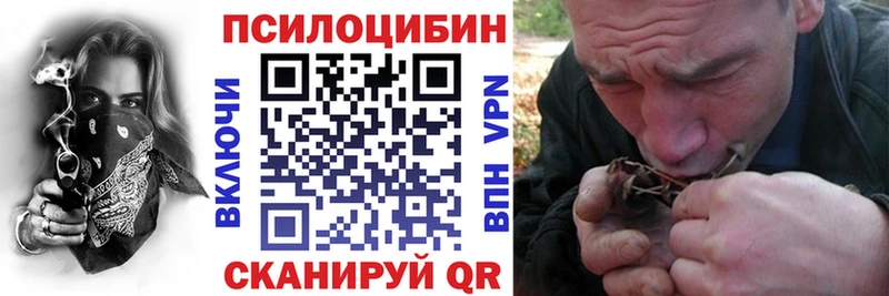 Псилоцибиновые грибы Cubensis  Купить где  Узловая 